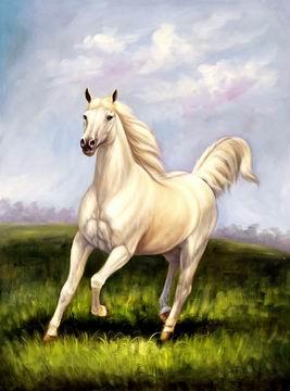 unknow artist Horses 021 Spain oil painting art